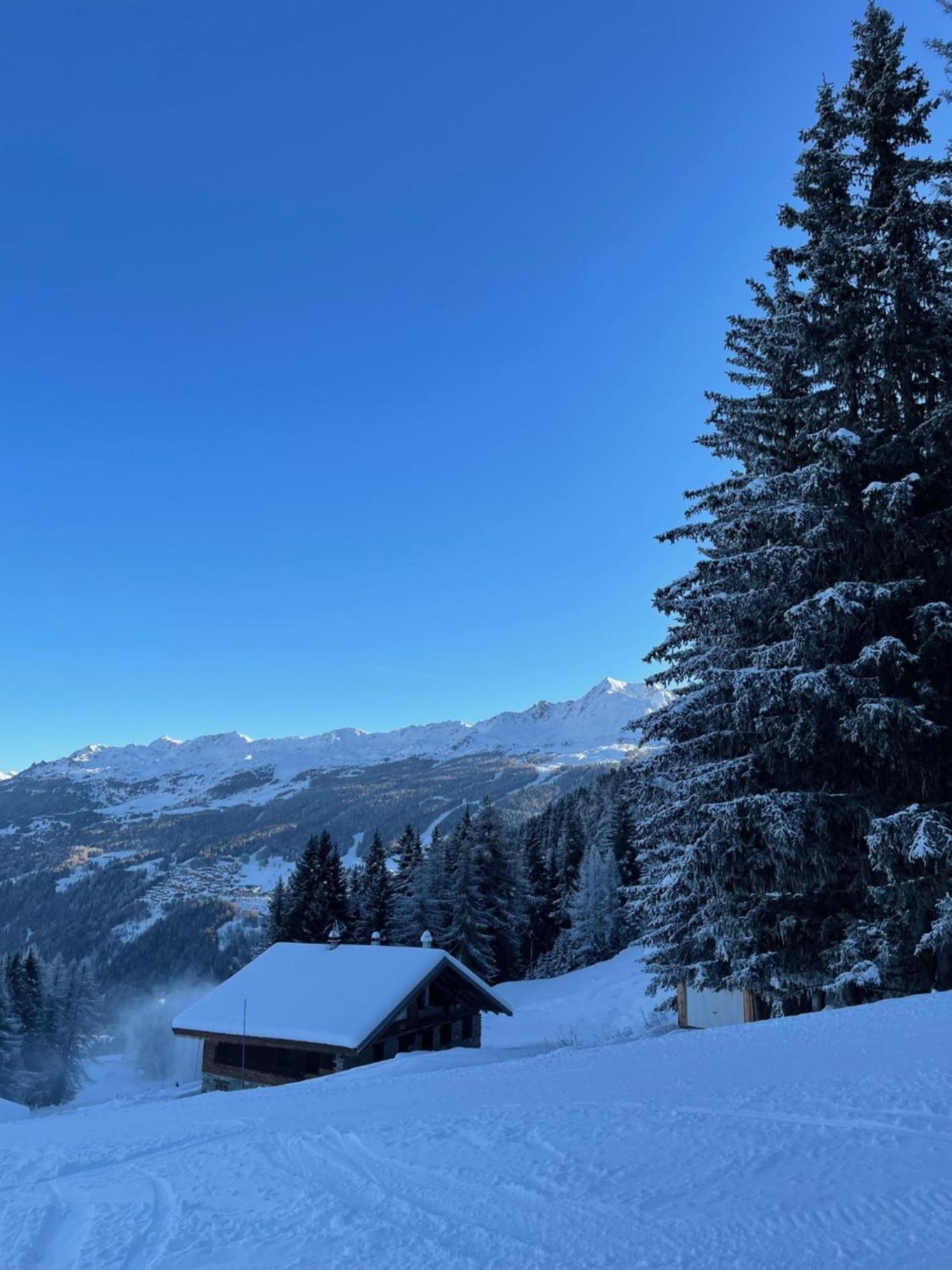 Appartement - La Plagne - Les Coches - 7 Personnes - Pieds Des Pistes Екстериор снимка